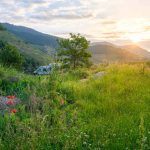 Ein Stellplatz In Idyllischer Natur