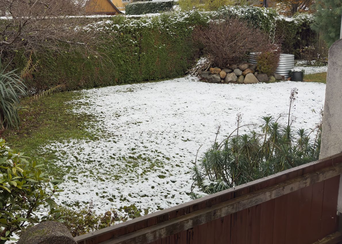 Die Vorbereitungen laufen auf Hochtouren