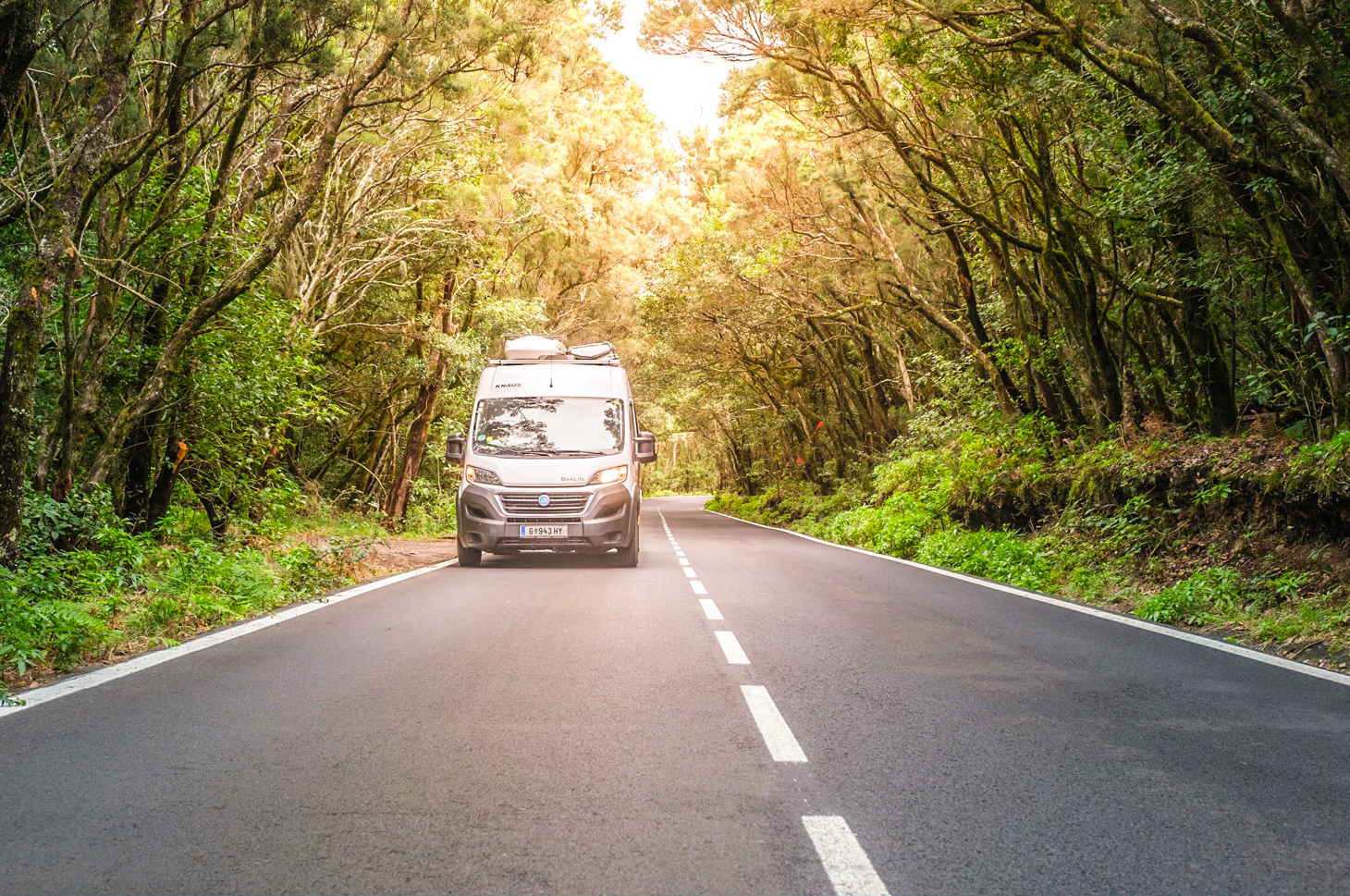 Garajonay Nationalpark