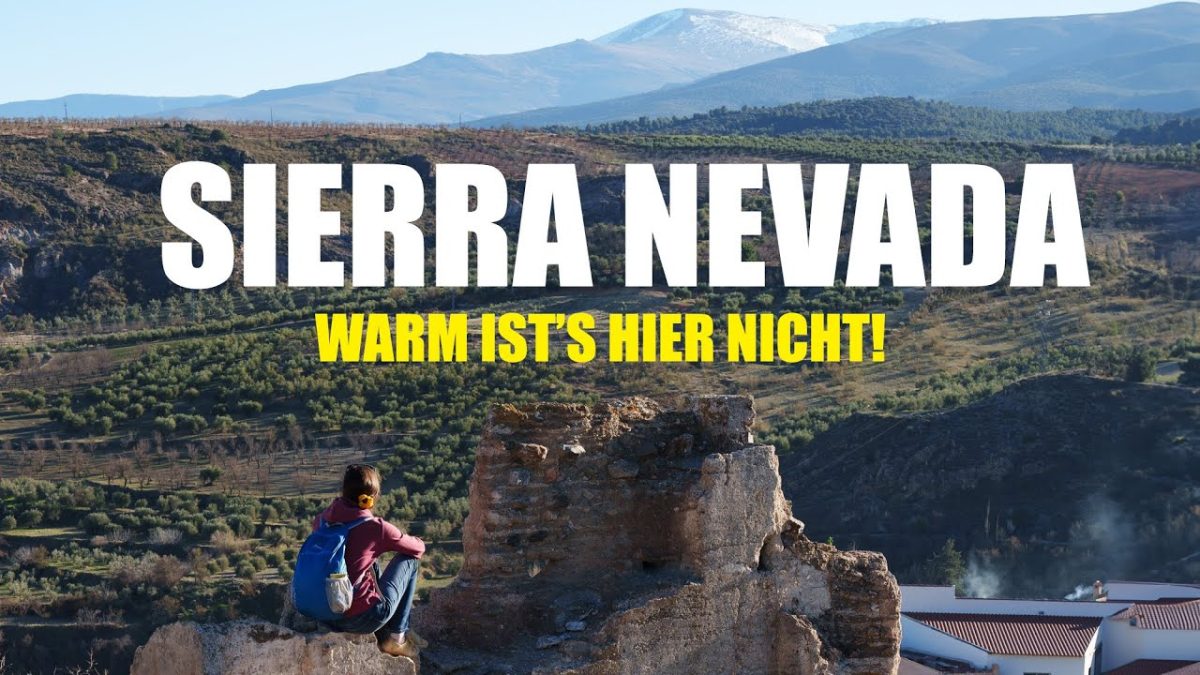 Video 8Zc Gciwqy F39Fd50B4131De6777C880350C4C7Dc6