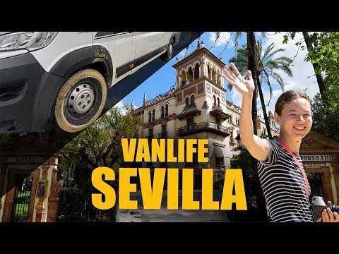 Video D0Chtjvvici 735Cc63E25259B7Ffee09F939Ae57Ab5