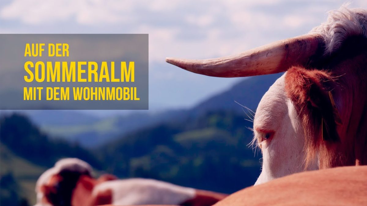 Video D1B4Lyixtxu 5F1B22007887B071D9C2D1Fcb26328D6