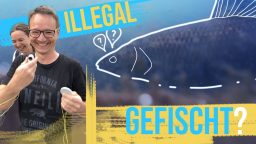 Video Ndbg9M2T B8 0770996B814Bad9F9B9410A480C4D017