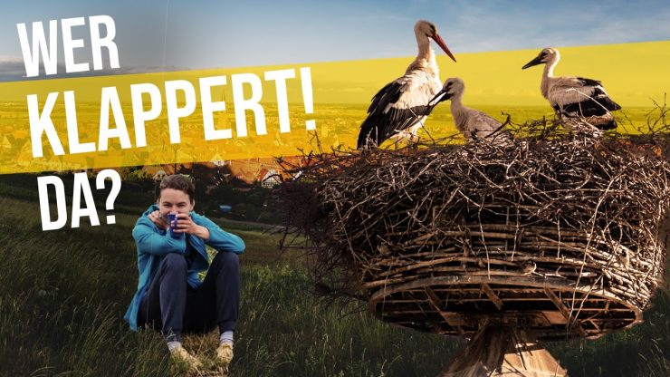 Video Ucdlgxs4I2Y 145E69C6D1Ac29F302F3Ac72A7342D30