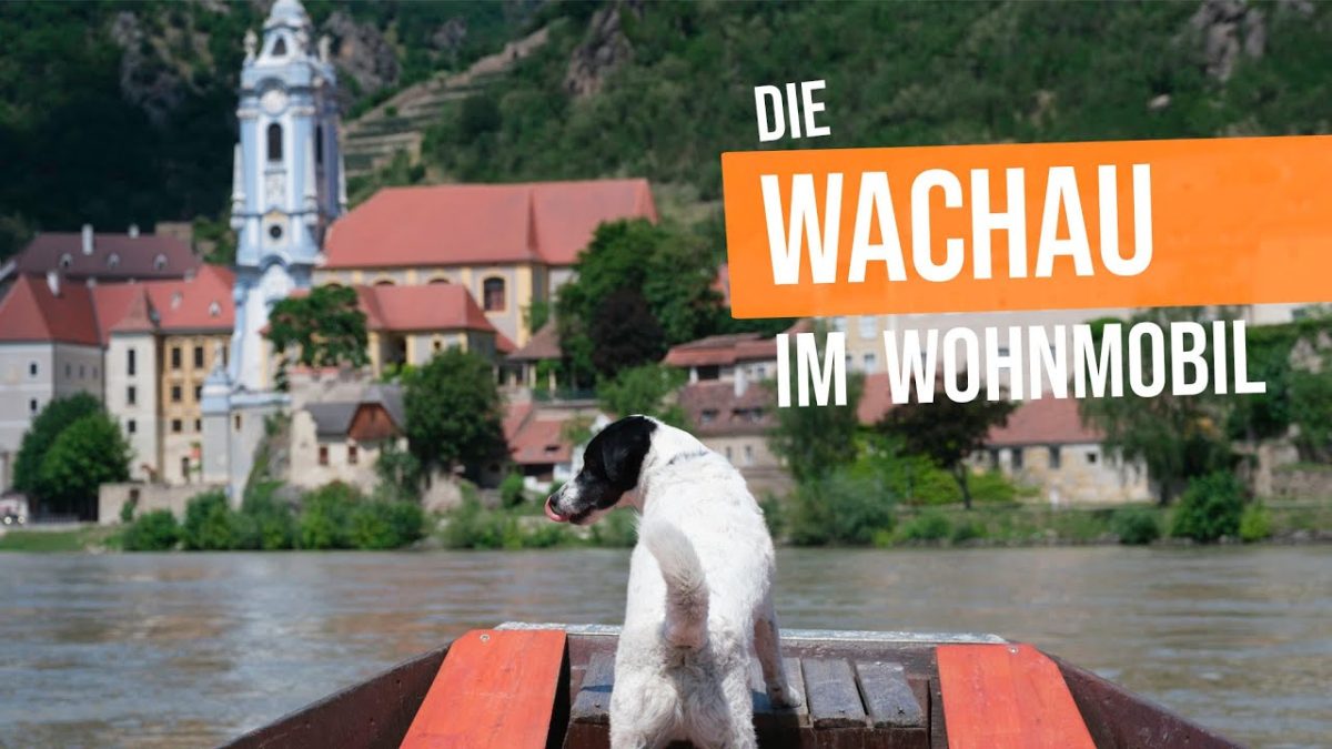 Video Yh9Ljqpmymk 65Bc508Ae5C536663C8Abc4Fbc9A0684