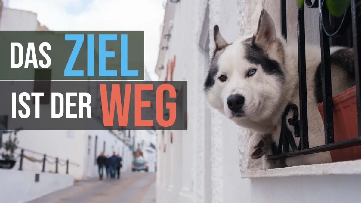 Video Zqrdaa1Nzj8 1Da640A948B6D4024Ee65D1Bcfd479D1