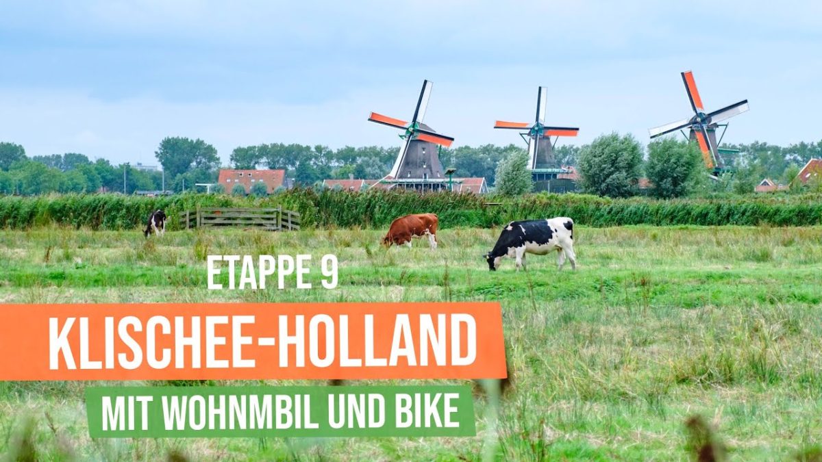 Video Dgyb0Itdt O 4Dbb97Acd5733Fd37C044Bc4772E6F0E