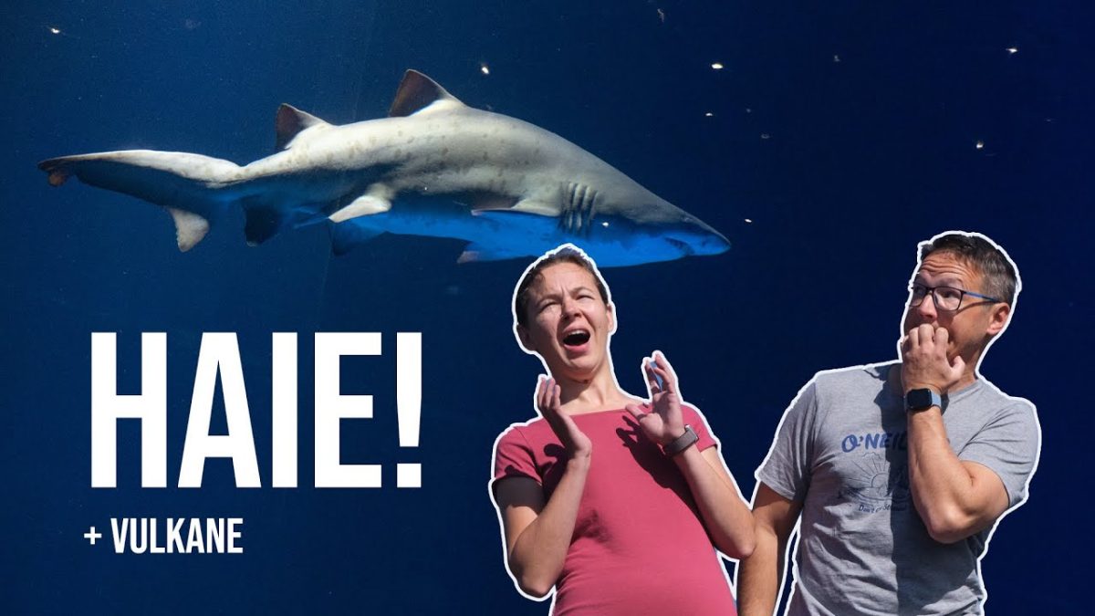 Video H8Zlp5Fb8Ry 48B52A9D363B3549189698648Ef73297