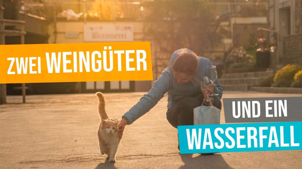 Video Q3Mo0X9F0Y0 994C11F166F38D3E00Ea6A39Ed6E252B