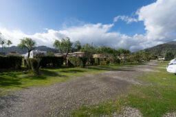 Area Triscell Sizilien 6