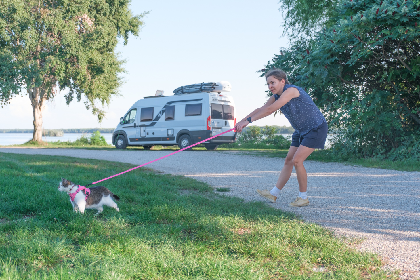 Katze Im Wohnmobil 0001 2