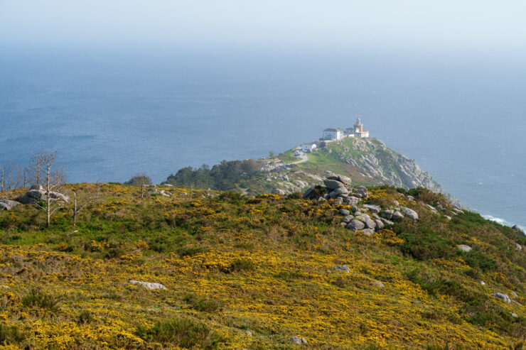 Cabofisterra 7