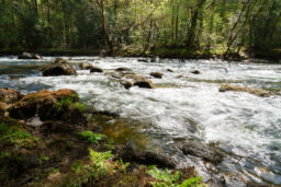 Fragas De Eume 61 Fragas De Eume 63