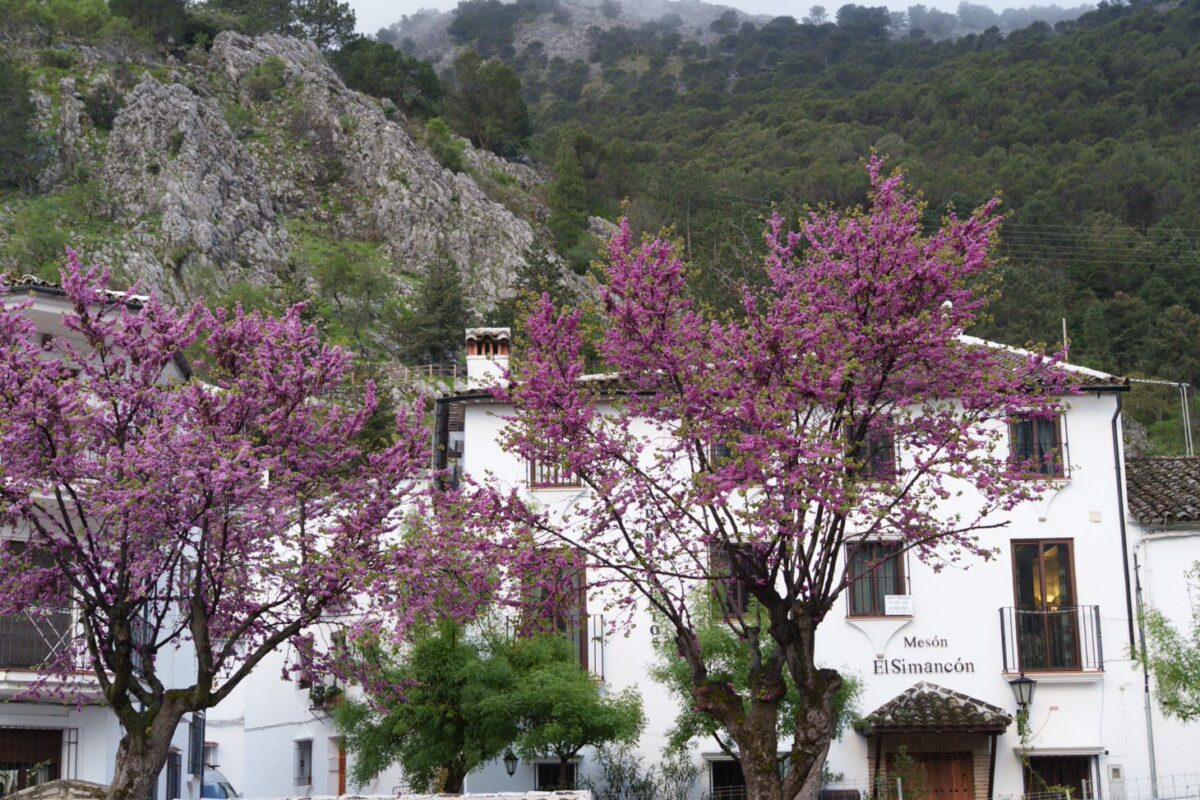 Grazalema
