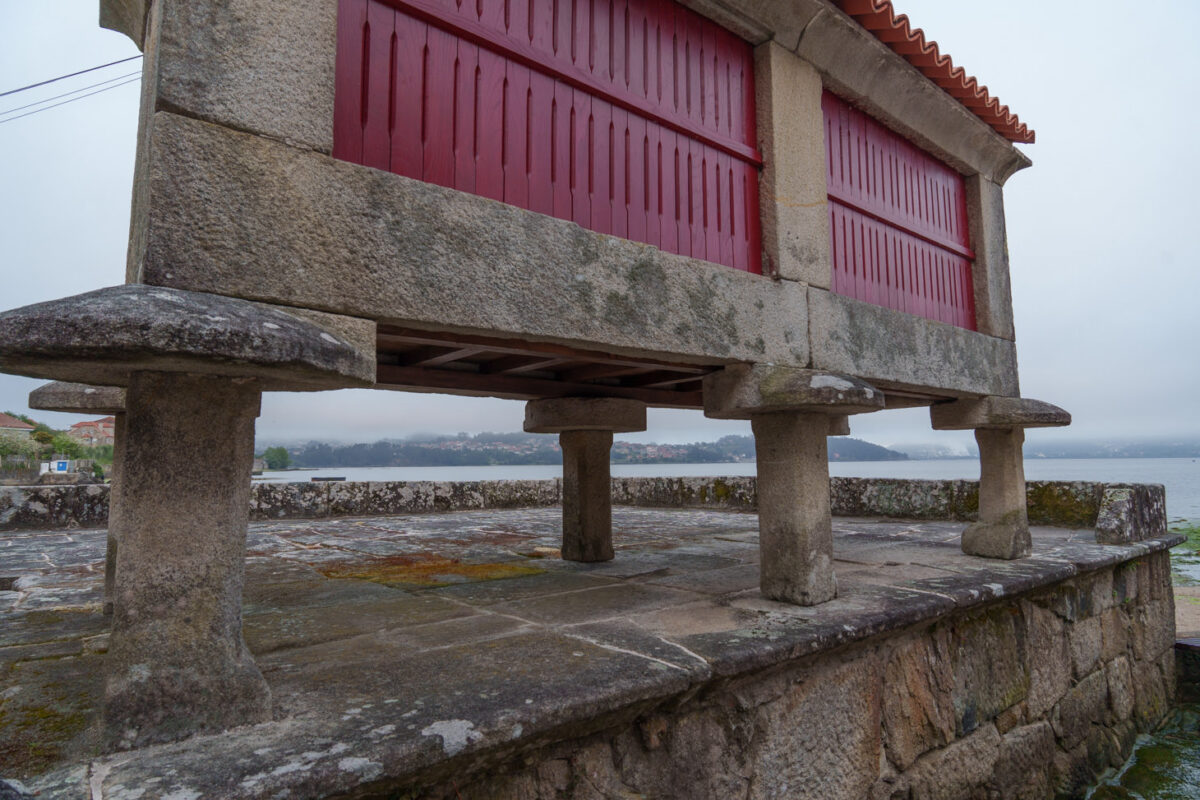 Tornarrato (Horréo-Beine Mit Schutzschild)