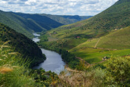 Rückkehr Zum Penedo Durão 68 Douro Aussichtspunkte Vogelbeobachtung 102