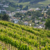 Vila Cha Bis Oberes Douro Tal 48