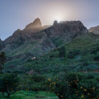 Orangen- Und Kaffeeplantagen Auf Gran Canaria Orangen- Und Kaffeeplantagen Auf Gran Canaria