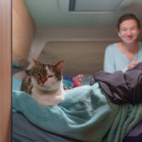 Über Uns 44 Katze Ruby Am Wohnmobil-Bett