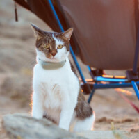 Über Uns 45 Ruby Vor Campingstuhl