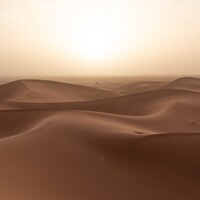 Die Sahara In Der Morgensonne