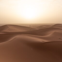 Die Sahara Erstrahlt In Der Morgensonne Die Sahara In Der Morgensonne