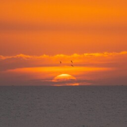 Ein Sonnenuntergang Über Dem Atlantik In Marokko Ein Sonnenuntergang Über Dem Atlantik In Marokko