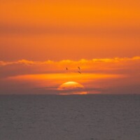 Ein Sonnenuntergang Über Dem Atlantik In Marokko