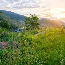 Mit Dem Wohnmobil In Der Wachau Im Weingarten Mit Dem Wohnmobil In Der Wachau Im Weingarten