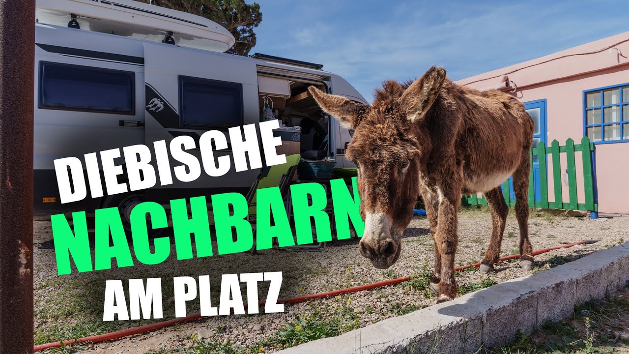 YouTube-Video-Vorschaubild