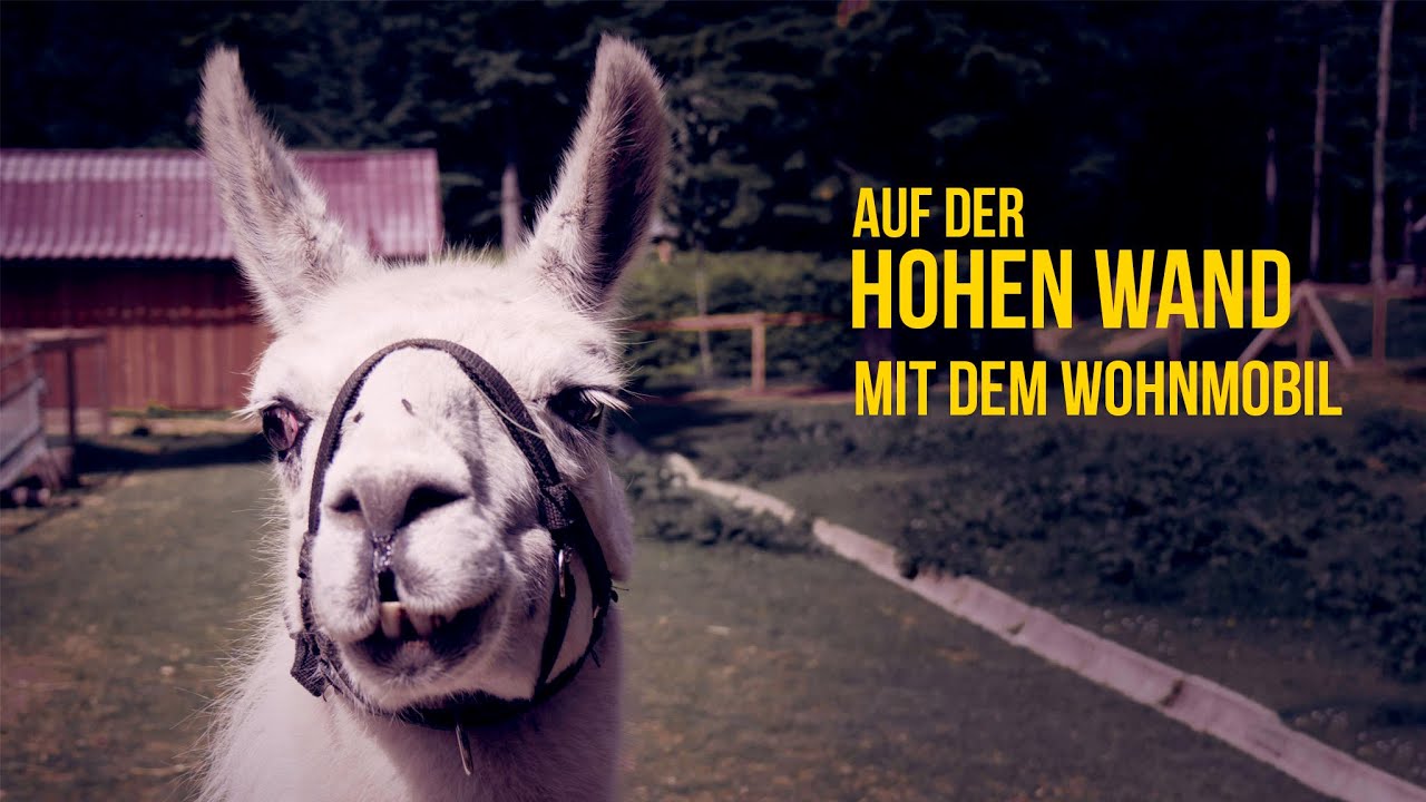 YouTube-Video-Vorschaubild