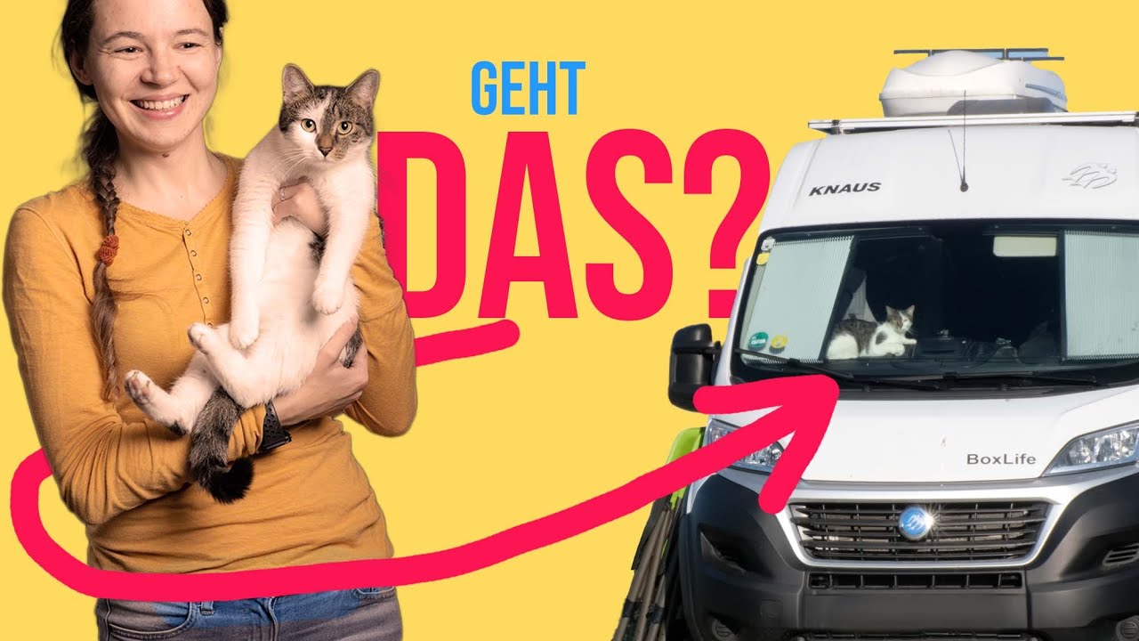 YouTube-Video-Vorschaubild