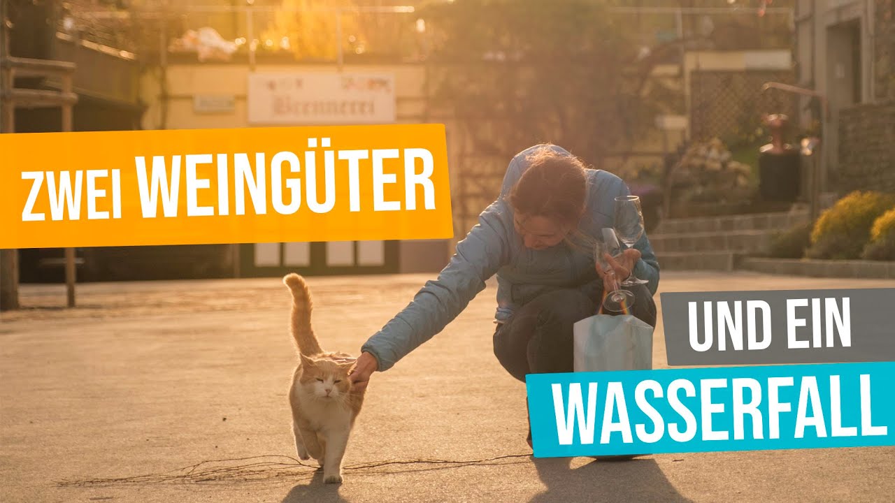 Youtube-Video-Vorschaubild